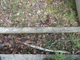 image of grave number 775195